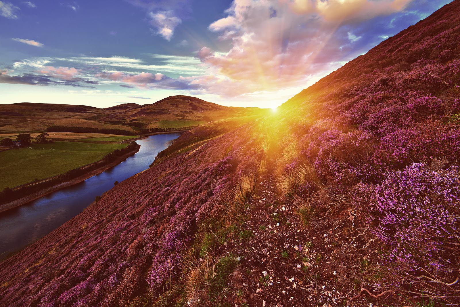 Shamanic Healing Celtic
